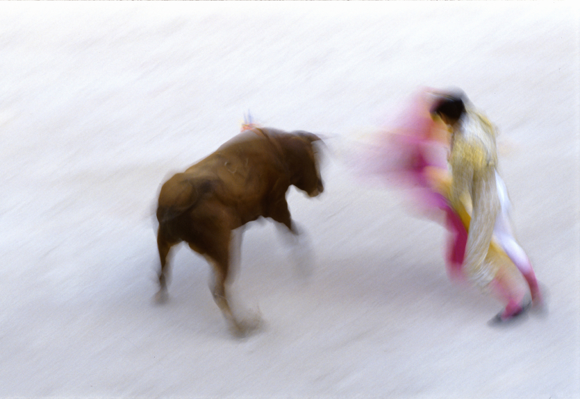 bullfight