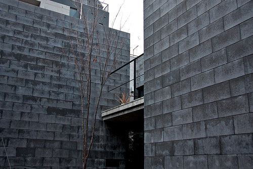 House in Shimokitazawa